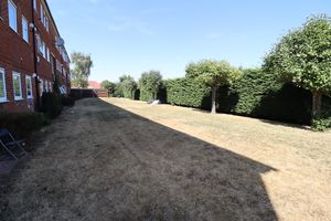 Communal Gardens- click for photo gallery